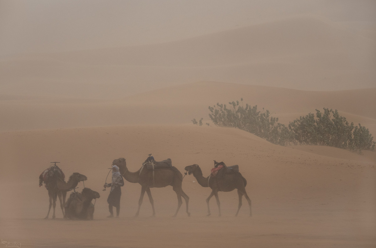 Sandstorm in Sahara