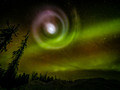 Alien Portal
