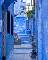 Colors of Morocco