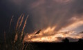 Nightfall at camp site