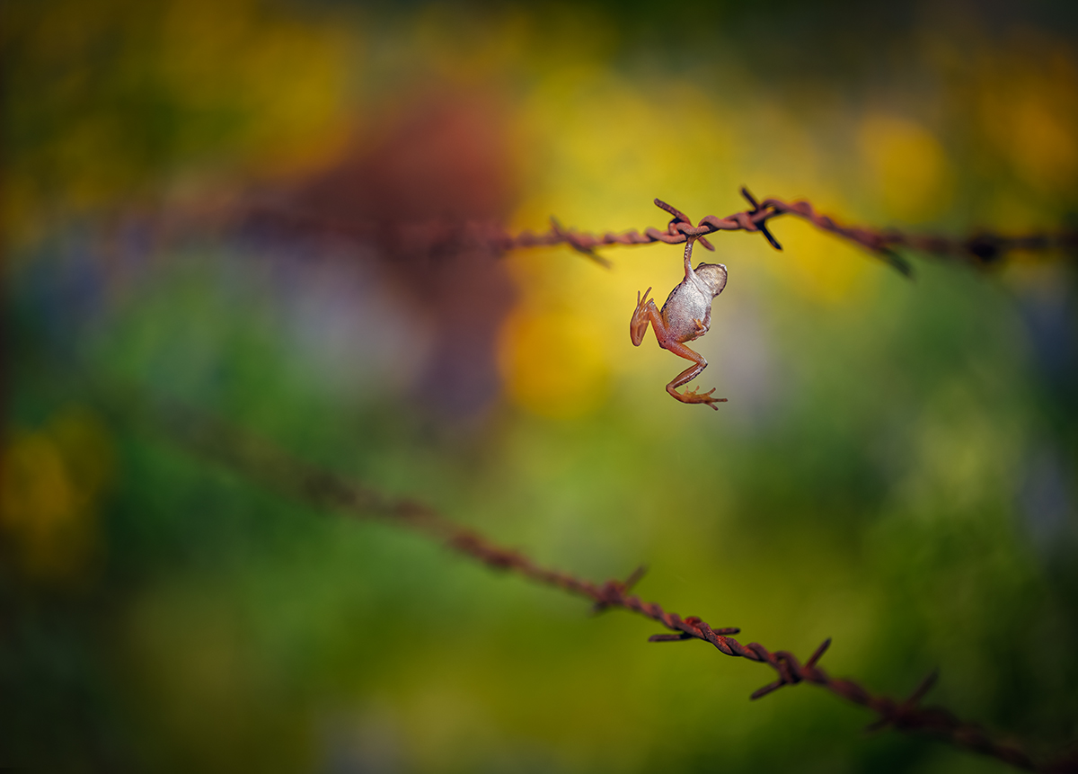 Sometimes Hanging In There Is Your Only Option