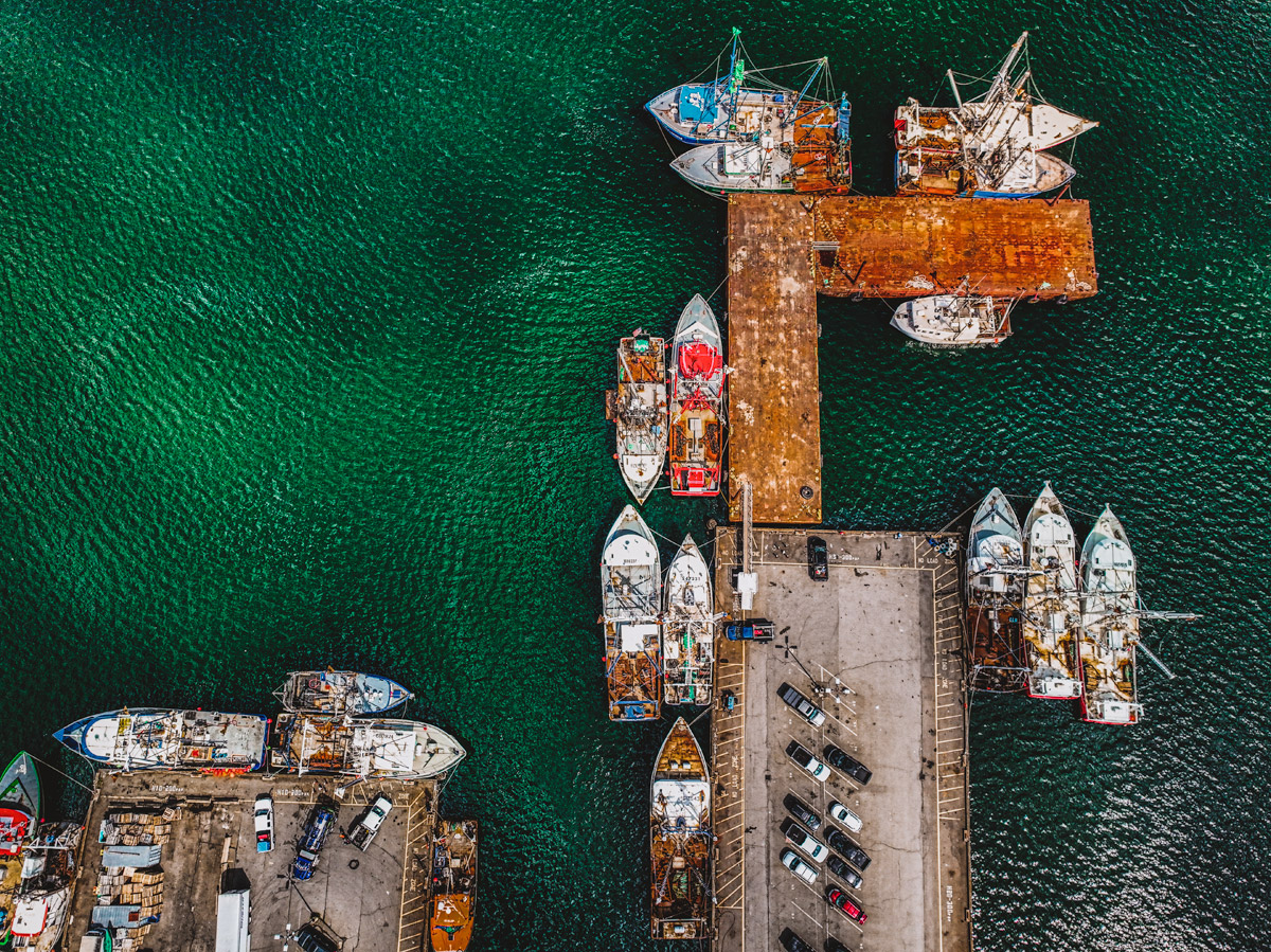 Trawlers & Purse Seiners, New Bedford