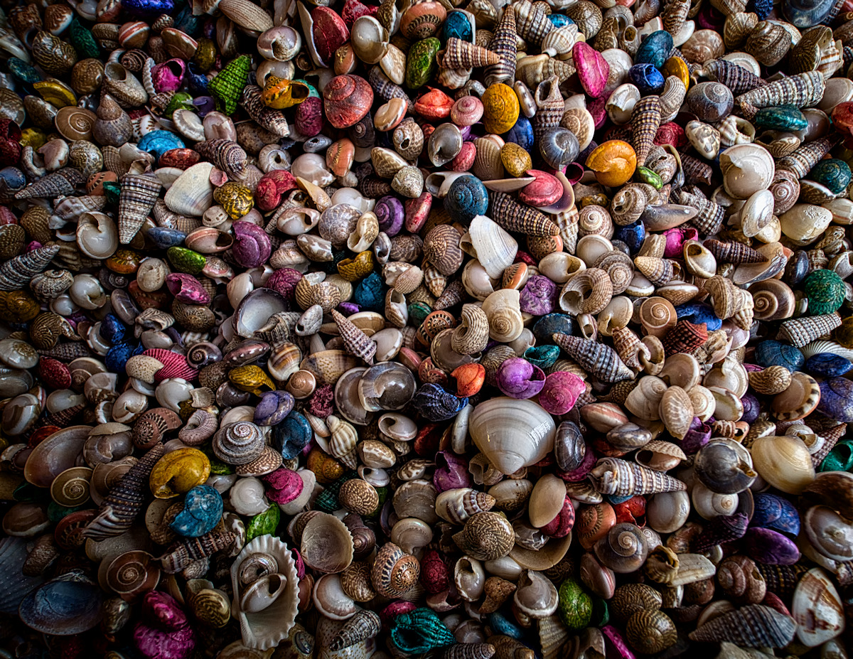 Shell Game