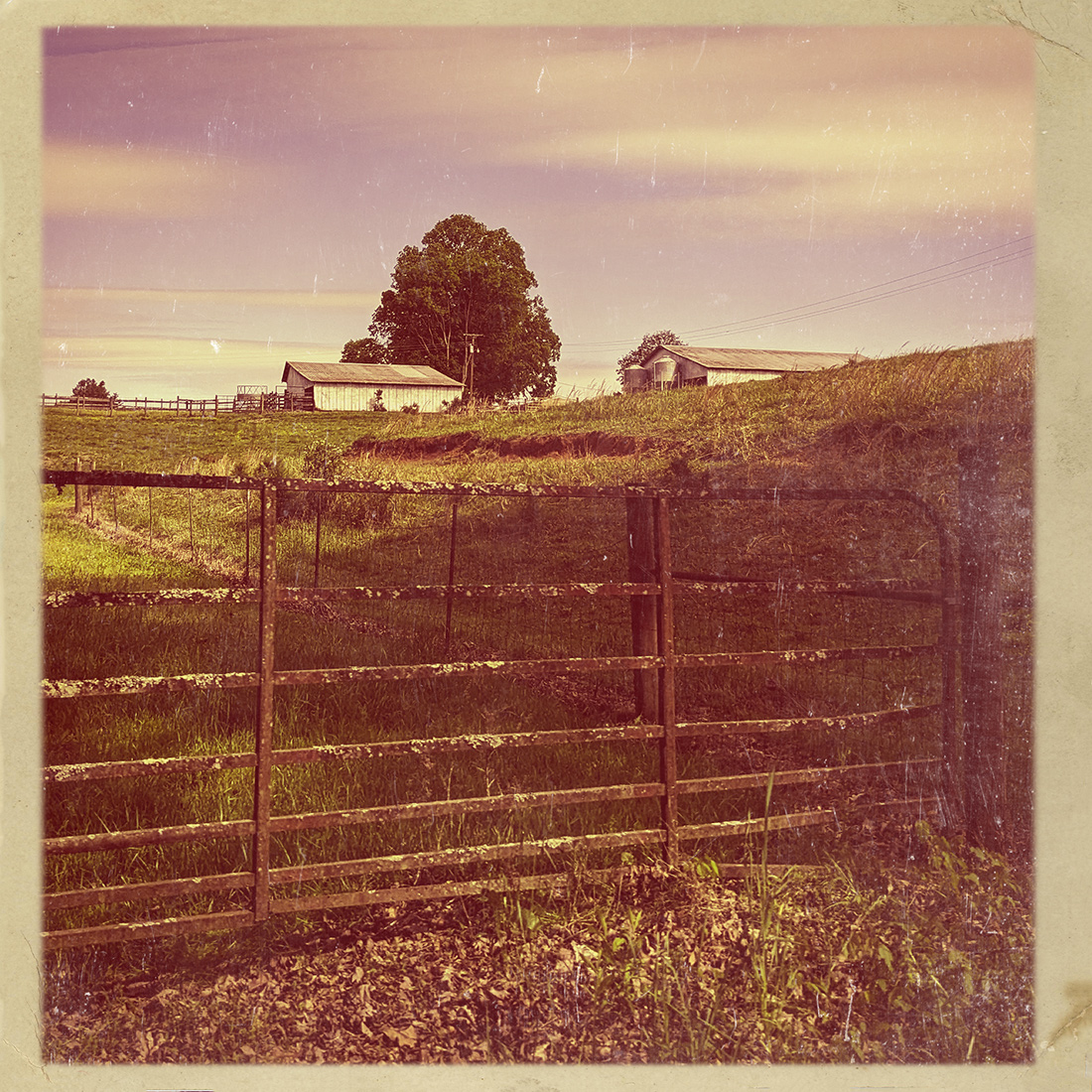  Papaw's farm, Knoxville, Tennessee 1972