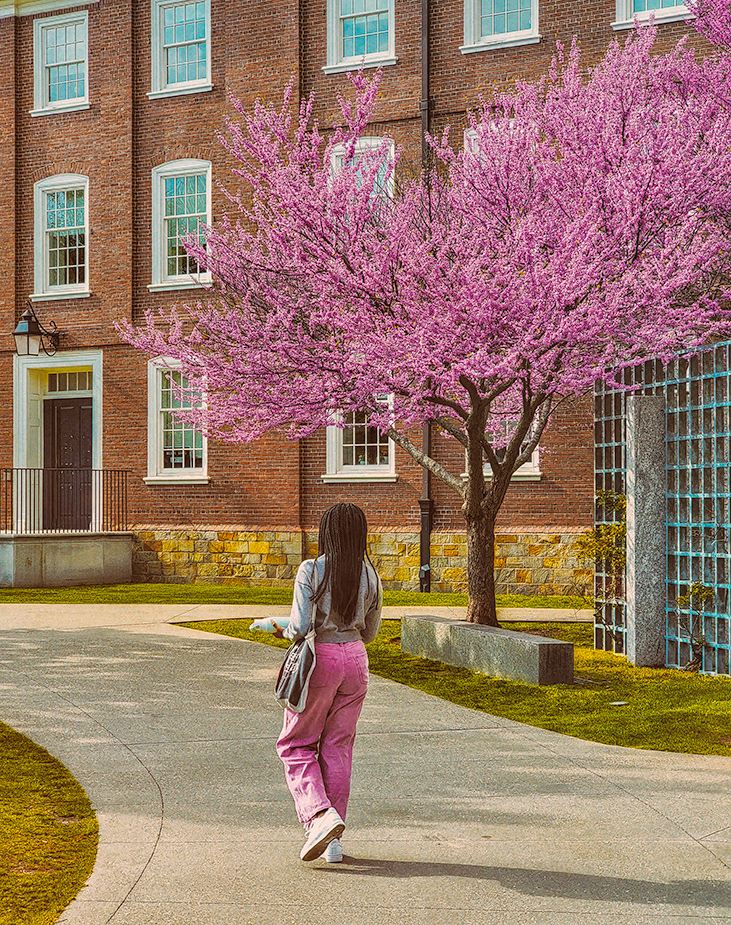 Vintage Kodachrome, College Campus