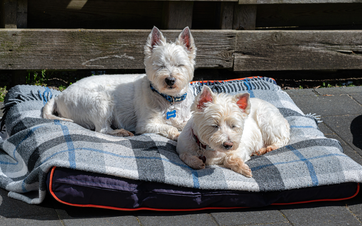 Sunbathing