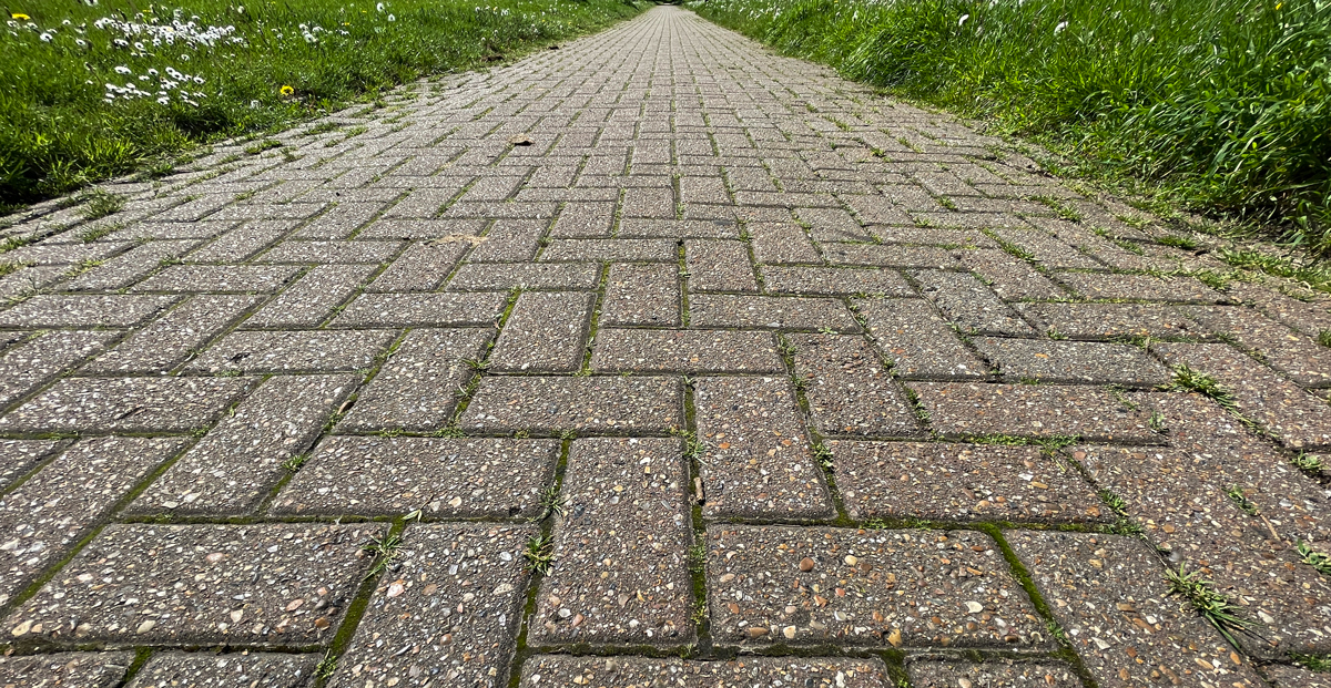 Path