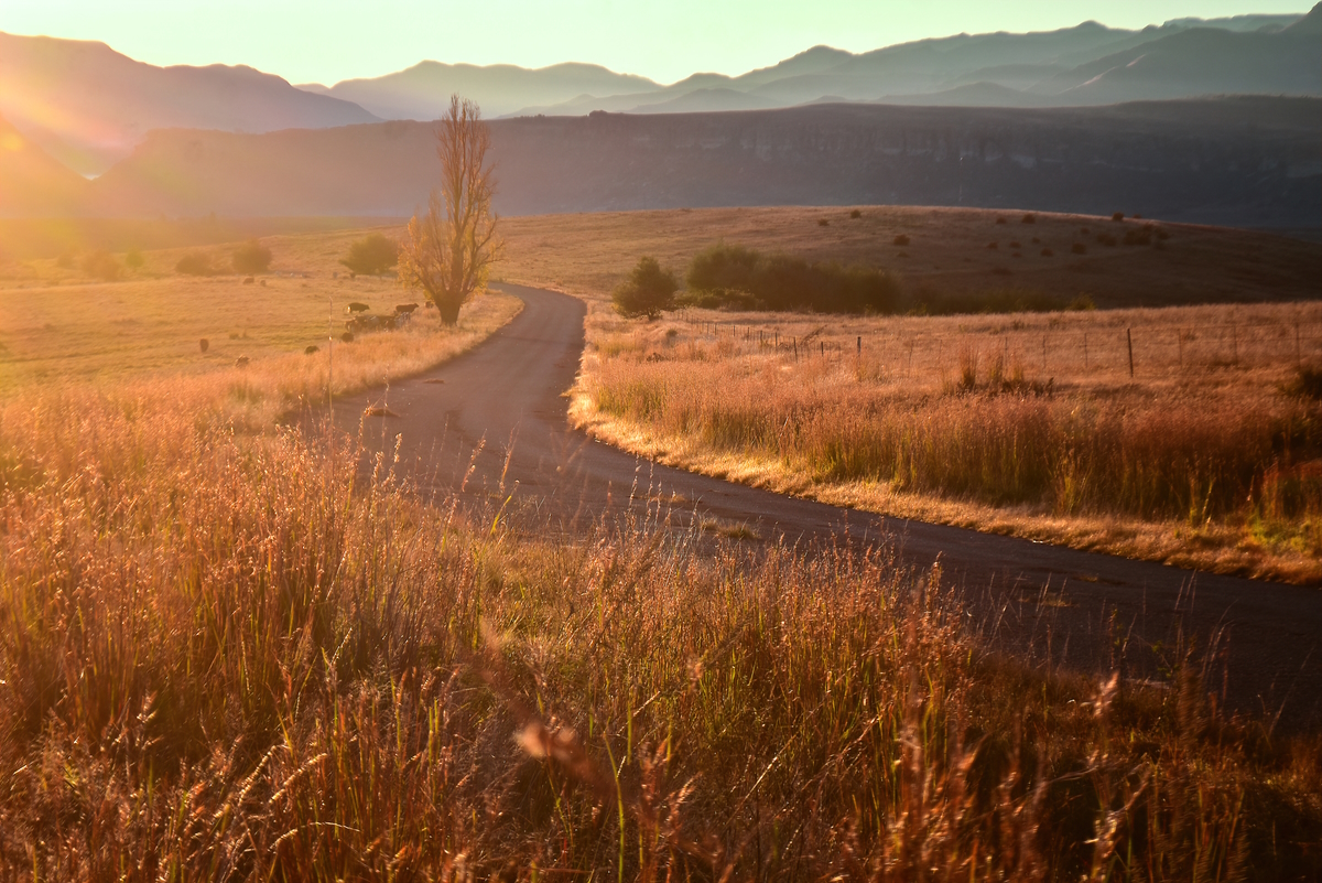 Country road