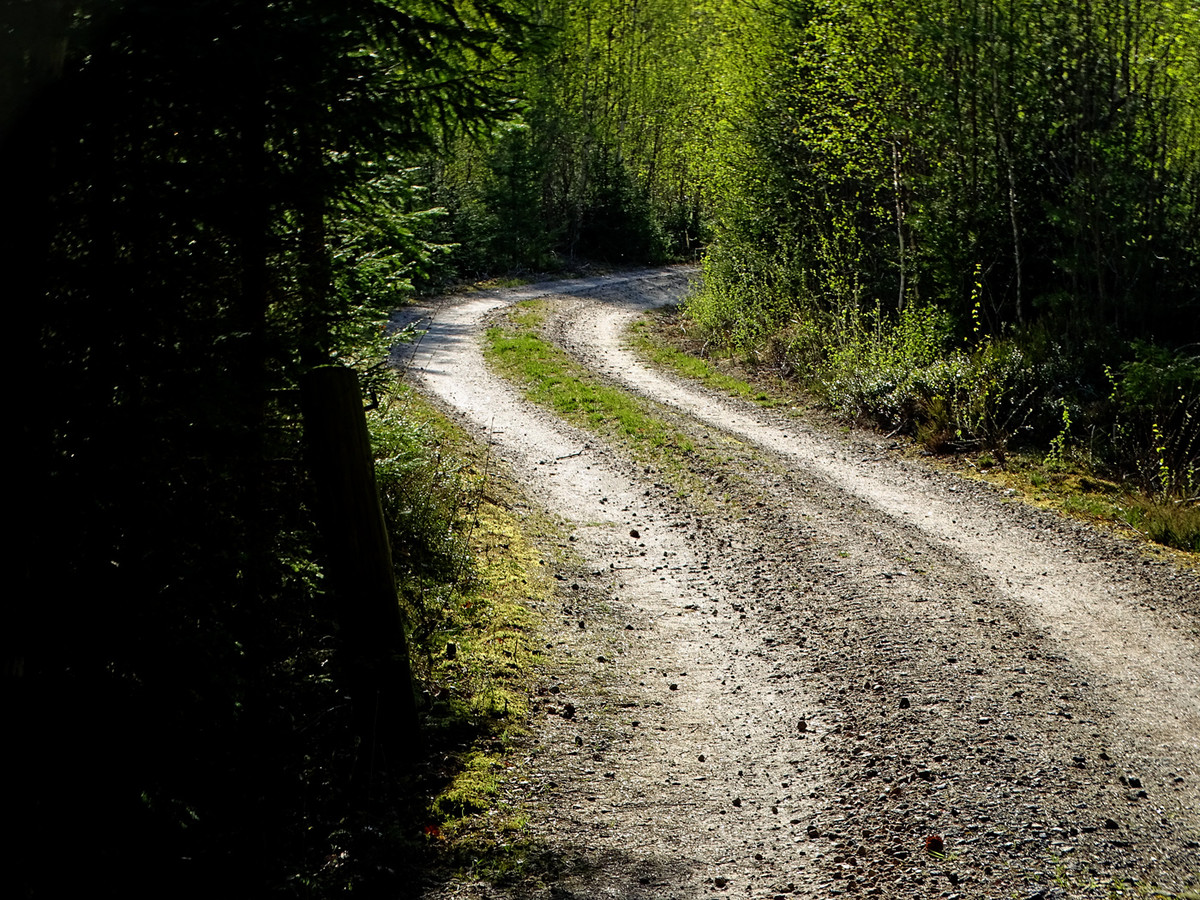 Old Country Road 