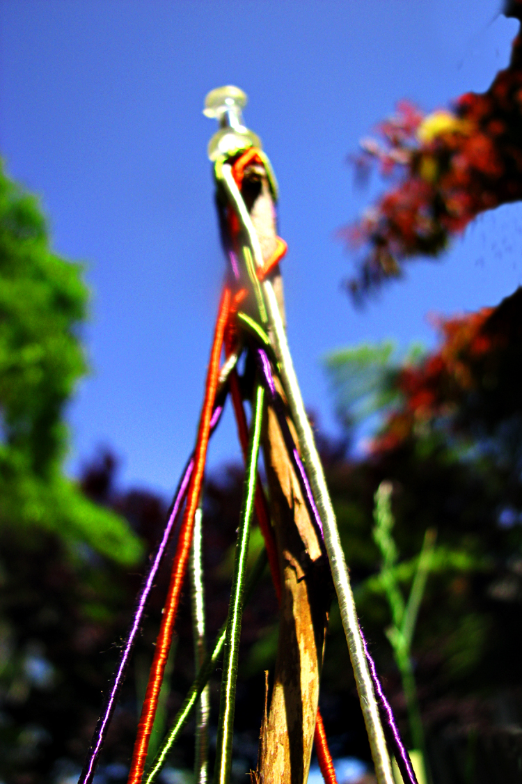 Maypole Mayhem