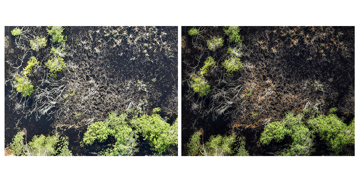 Untitled: Before & After