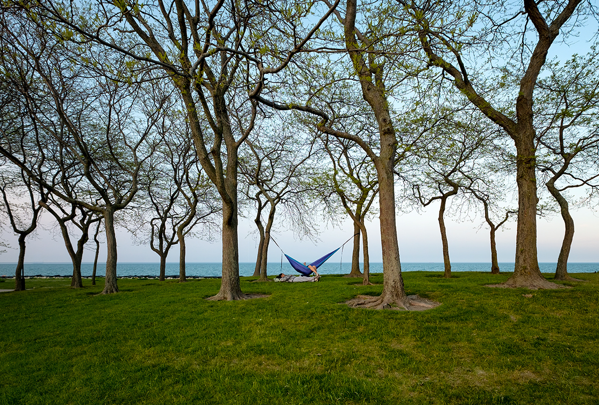 Hanging out among the trees