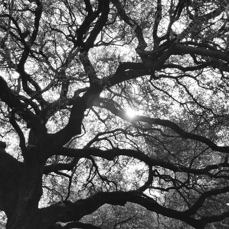 Reaching