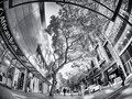 Street