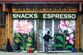 Itinerant Painter