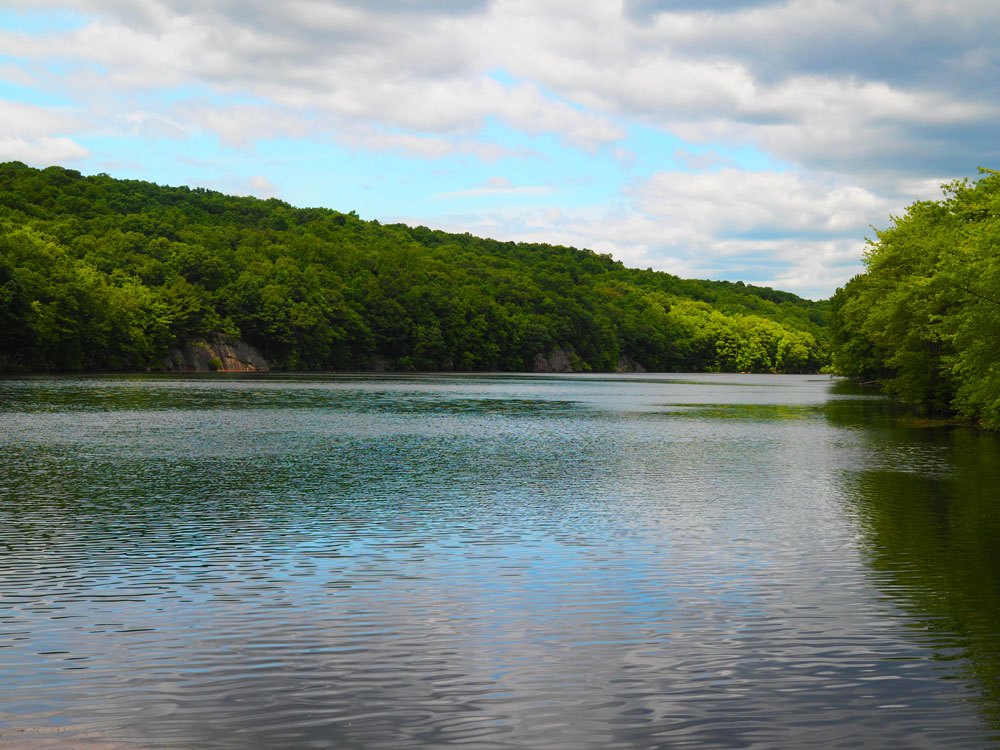 Down the Lake