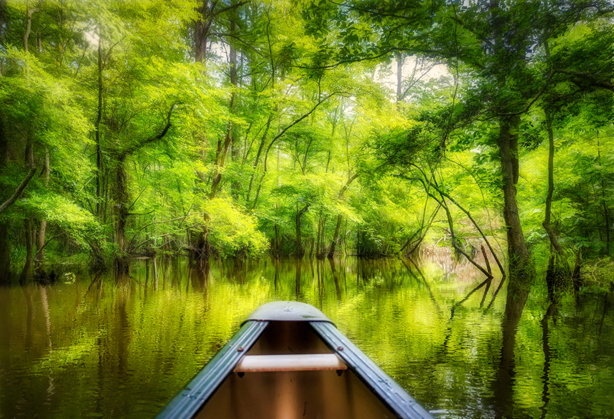 Up a Creek Without a Paddle