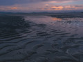 The Bay