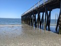 Low Tide