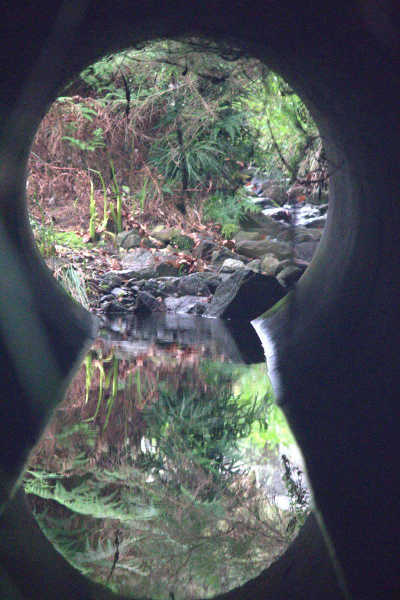 The Keyhole to Nature