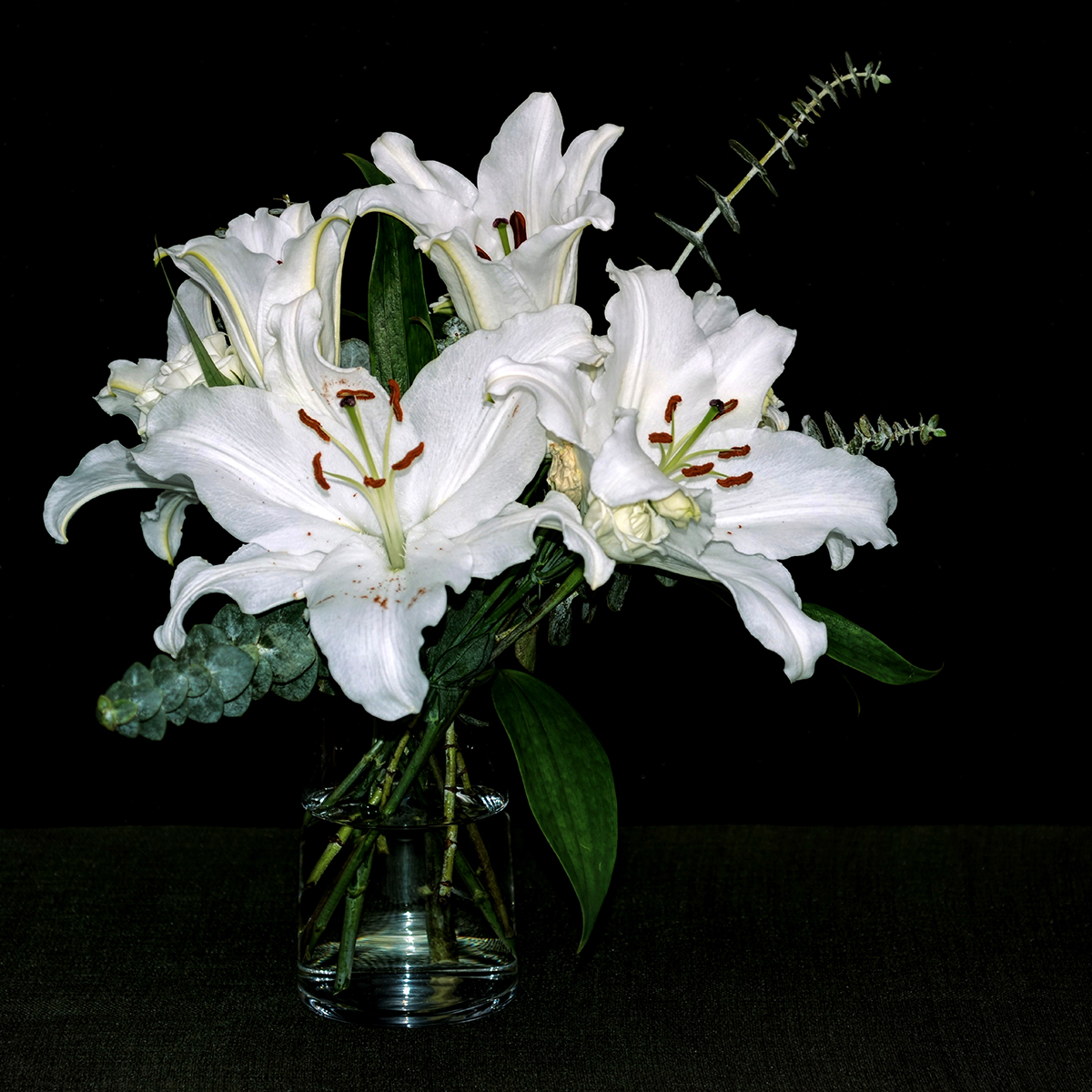 Lilies