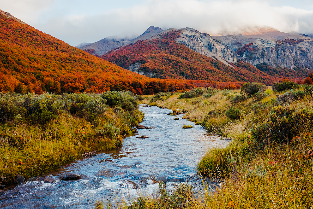 Patagonia