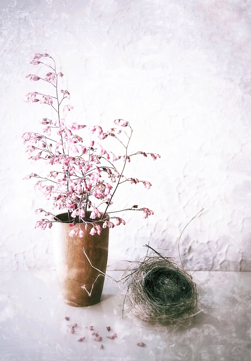 Coral Bells and Empty Nest