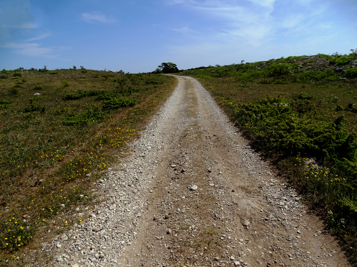 Stora Karlsö 