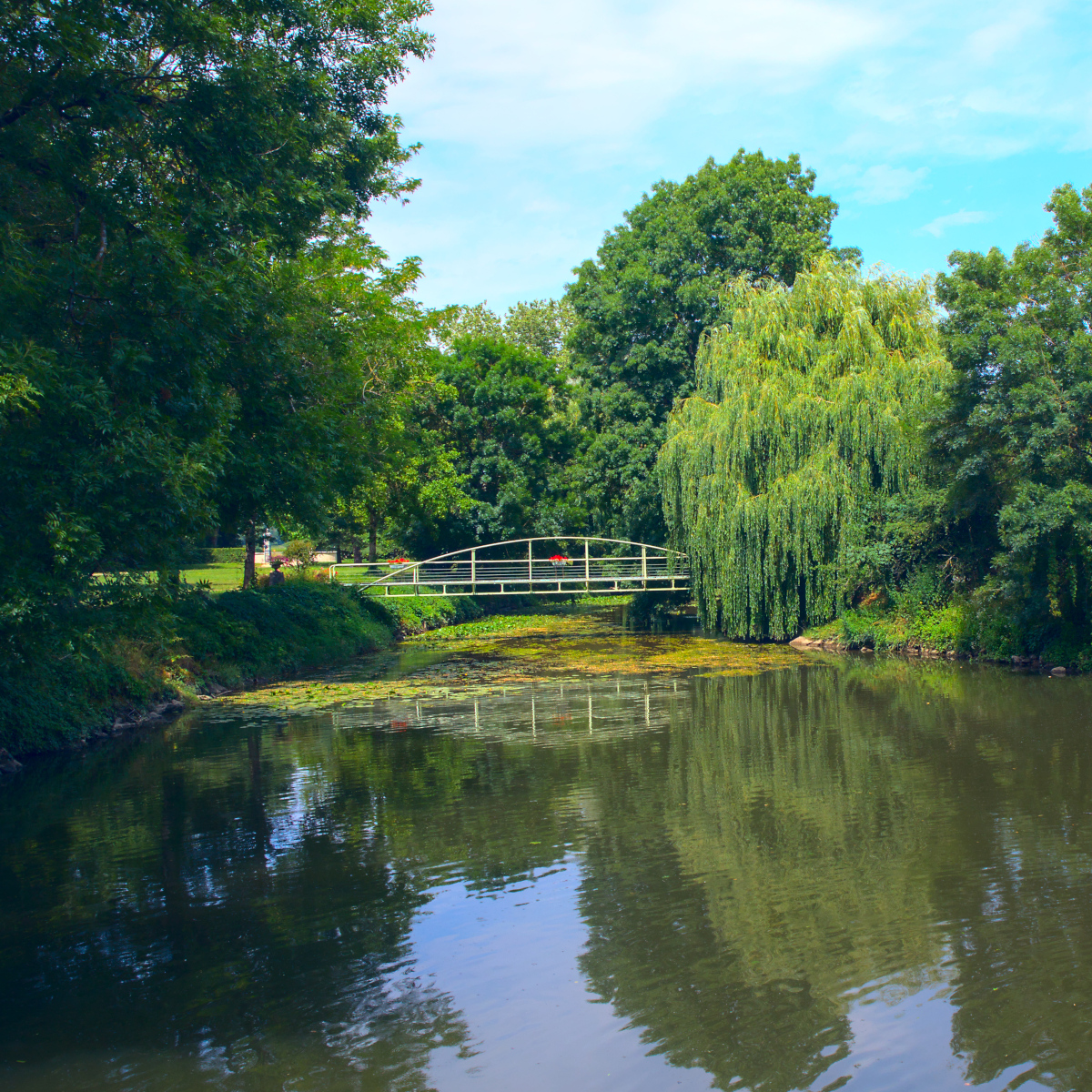 Pond with Bridge