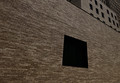 Window/s