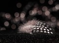 A dotty picture