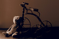 Sad Forgotten Teddy
