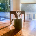Morning Tea