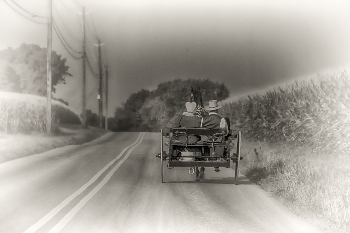 Days Gone BY