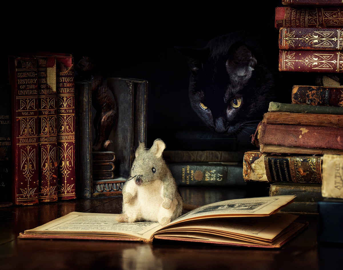 The Scholar