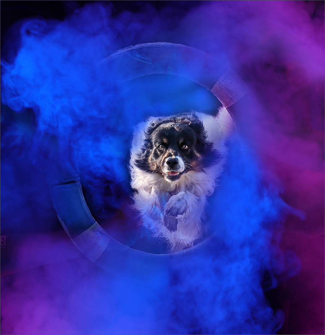Agility Power