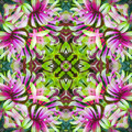 Petal Mania