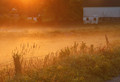 Pastoral dawn