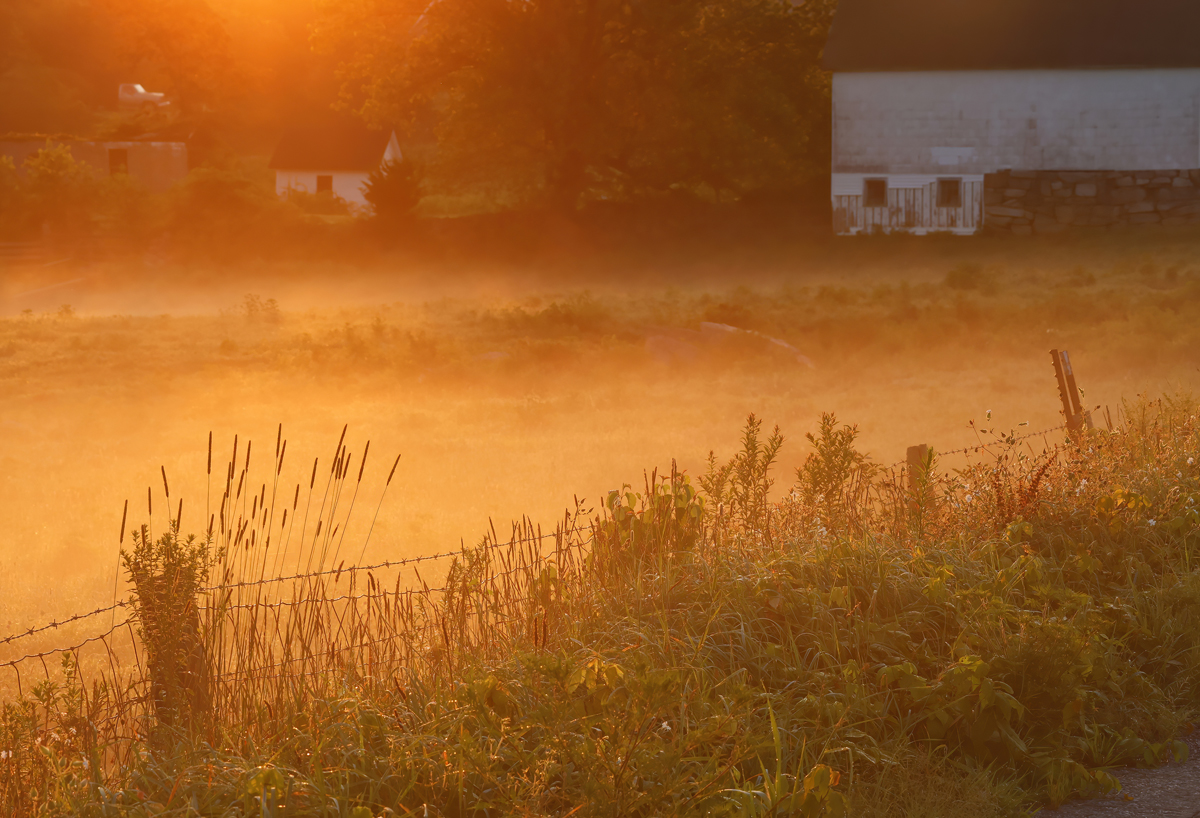 Pastoral dawn