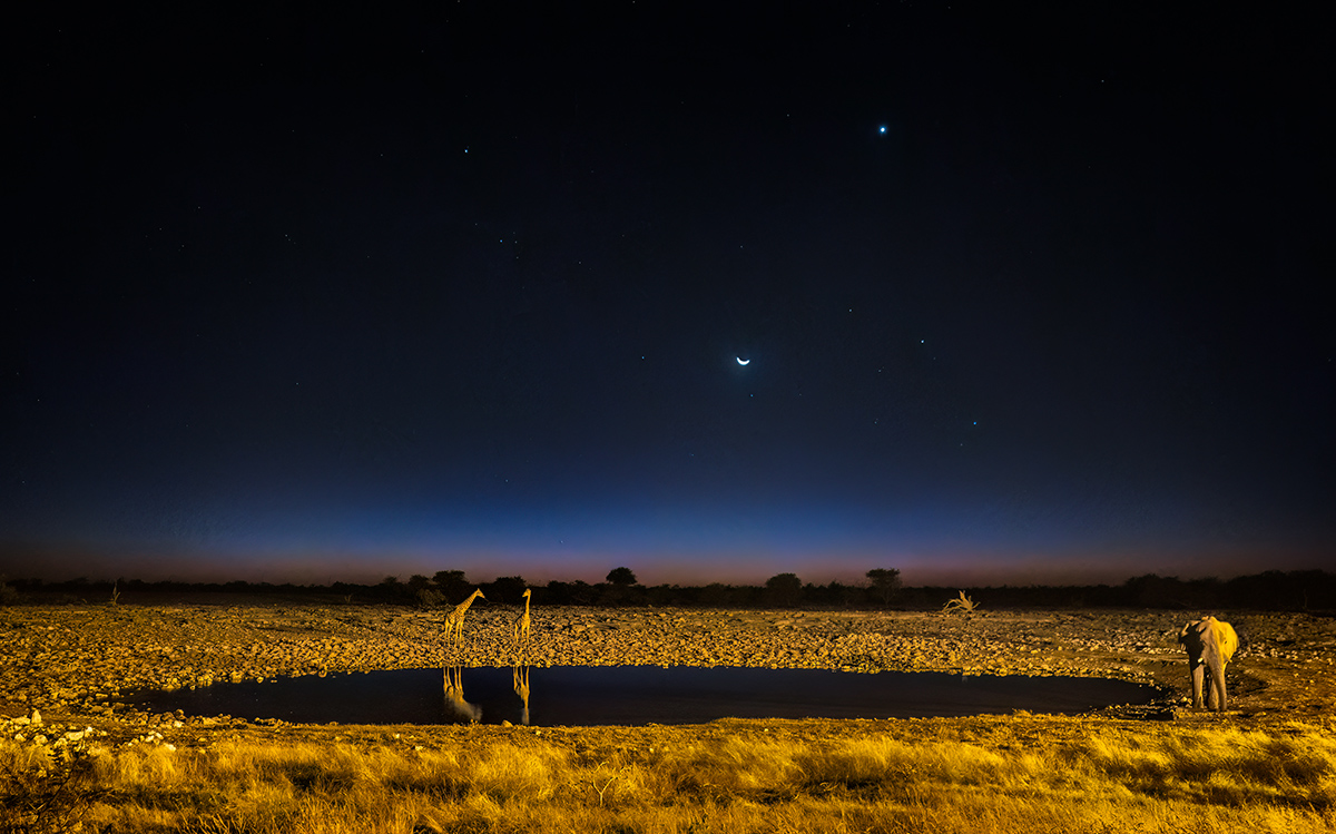 African nights