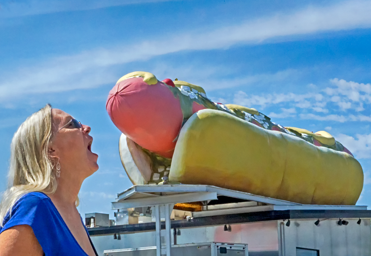 Hot Diggity Dog