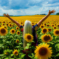 A Mermaid in a Sea of Sunflowers