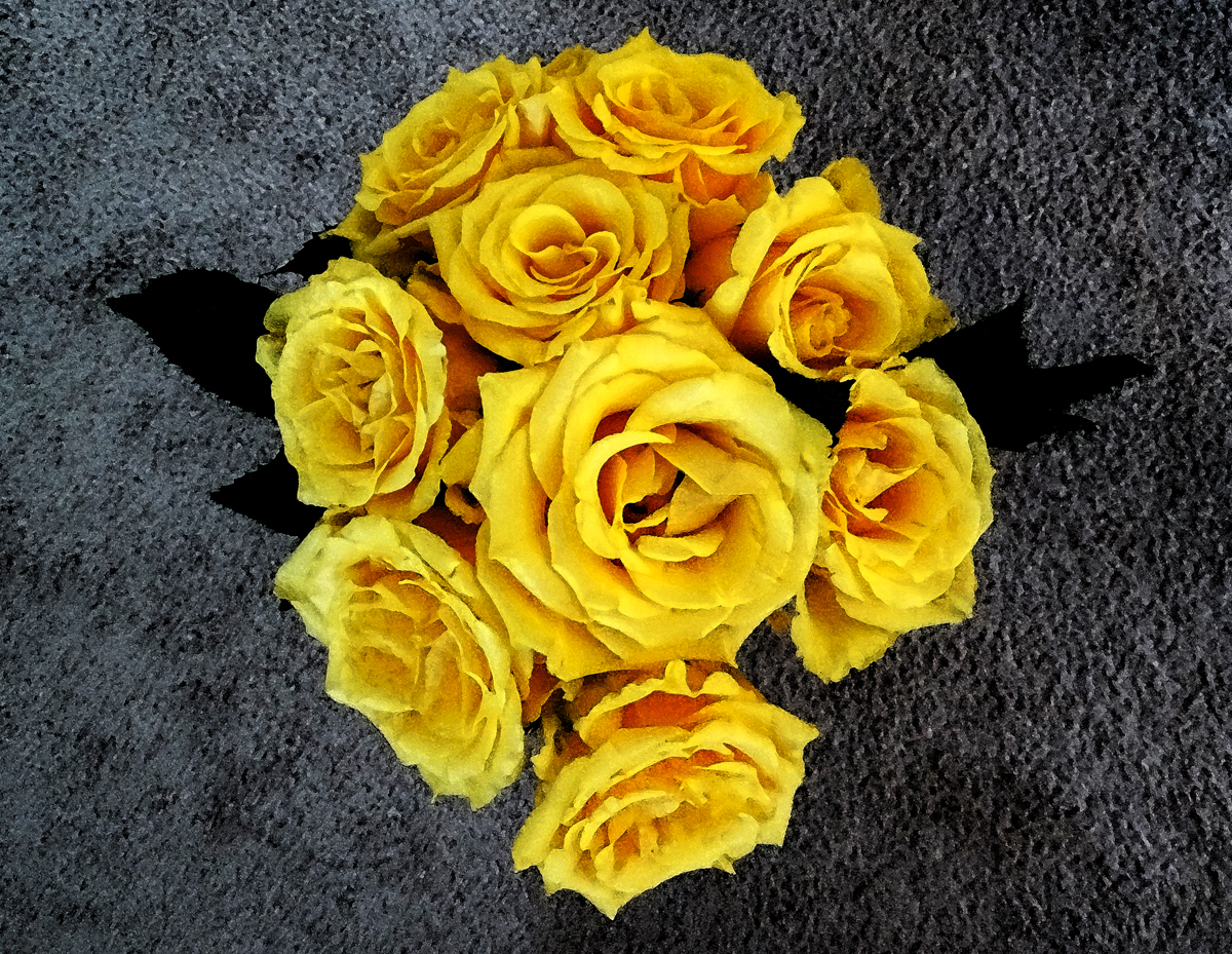 Nine Yellow Roses