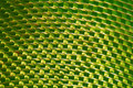 what is it?