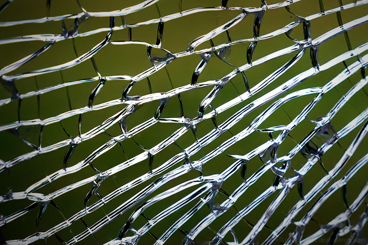 Tangled Webs We Weave