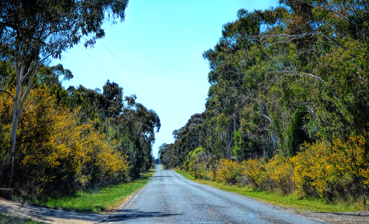 Country Road