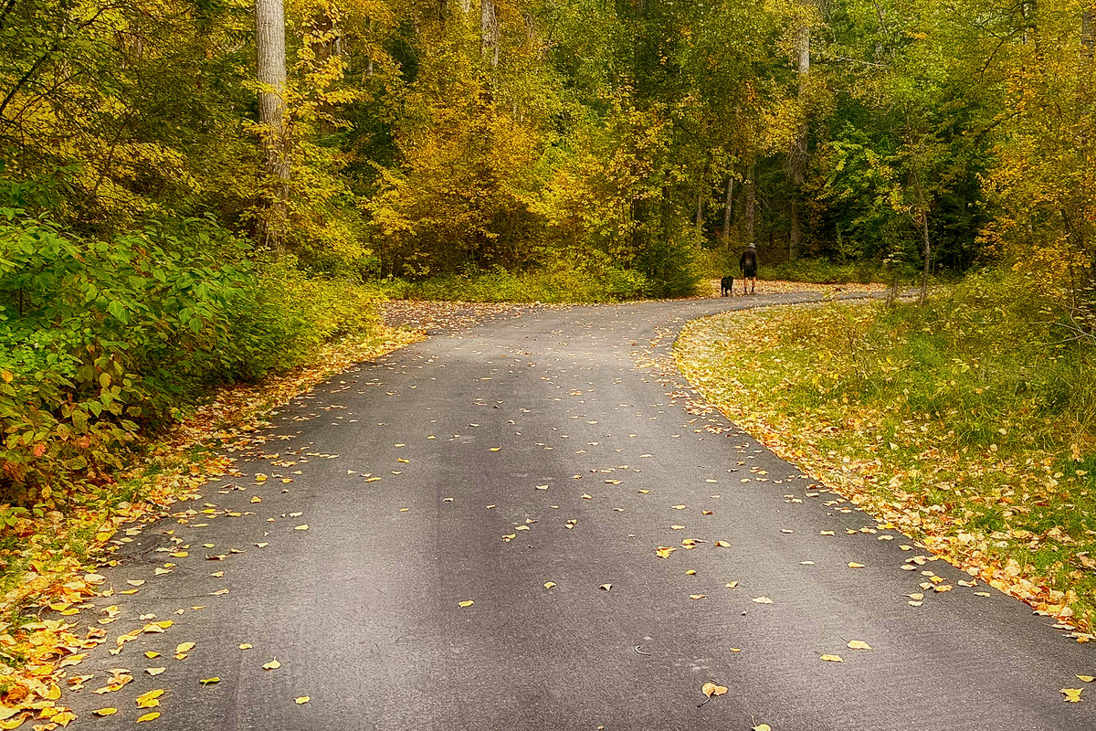 fall walk