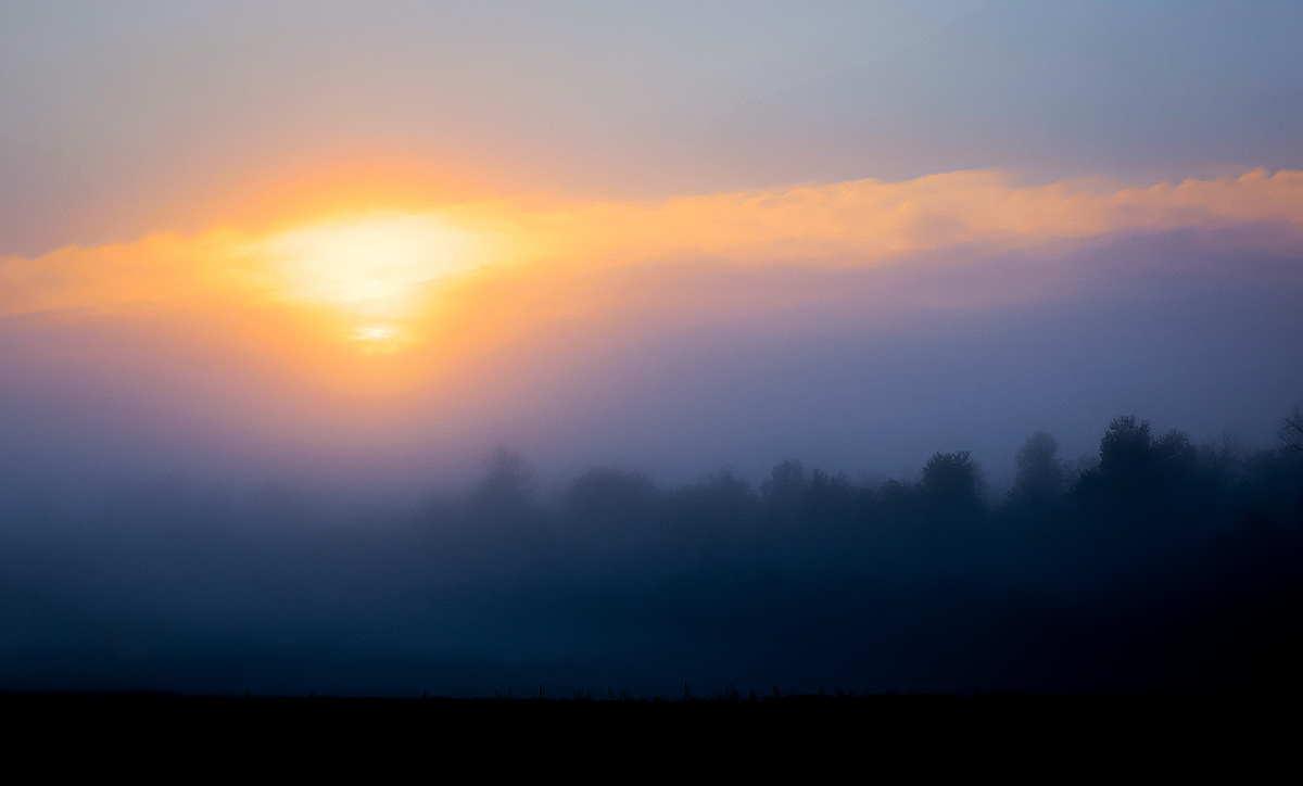 Mist in the backfield