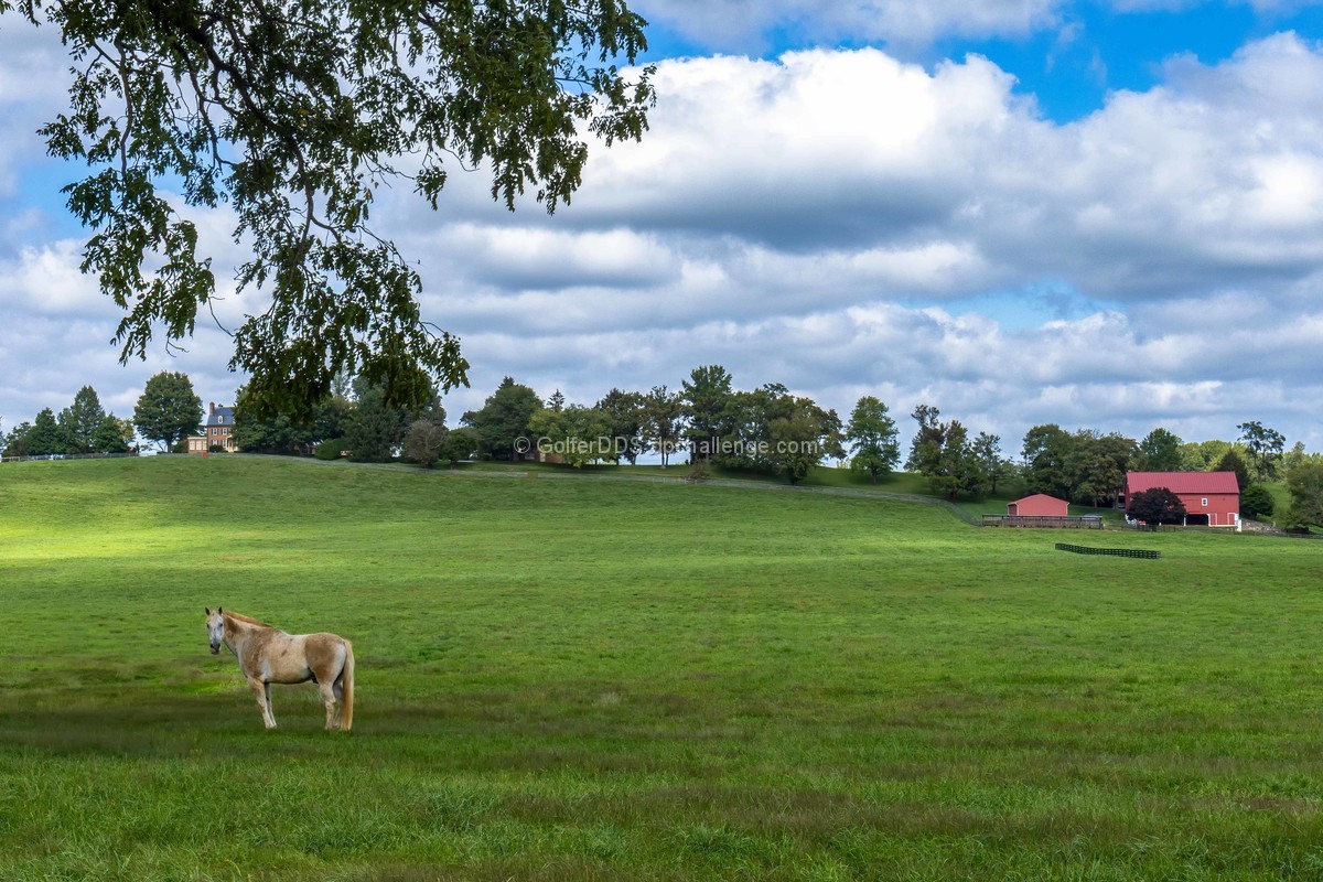 Country Estate