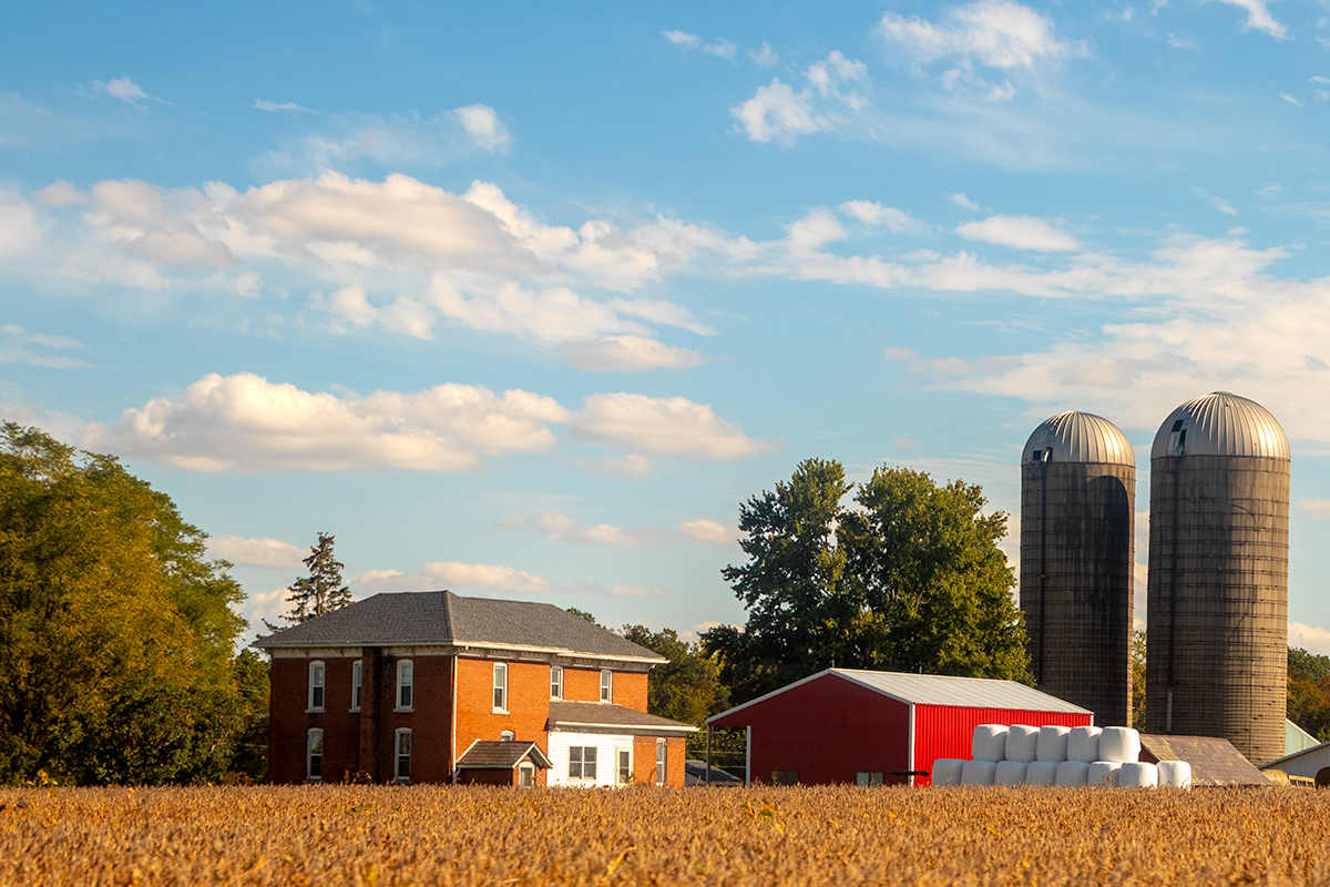 Family Farm